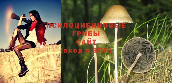 стафф Верхний Тагил