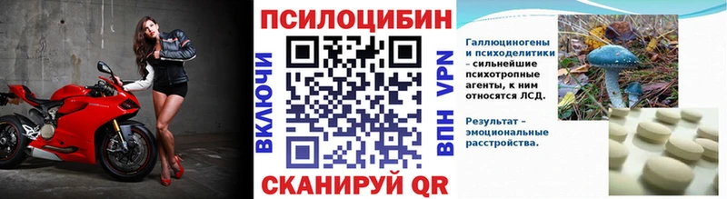 Псилоцибиновые грибы прущие грибы  Купить где  Пионерский 